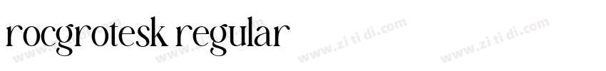 rocgrotesk regular字体转换 rocgrotesk regular字体转换